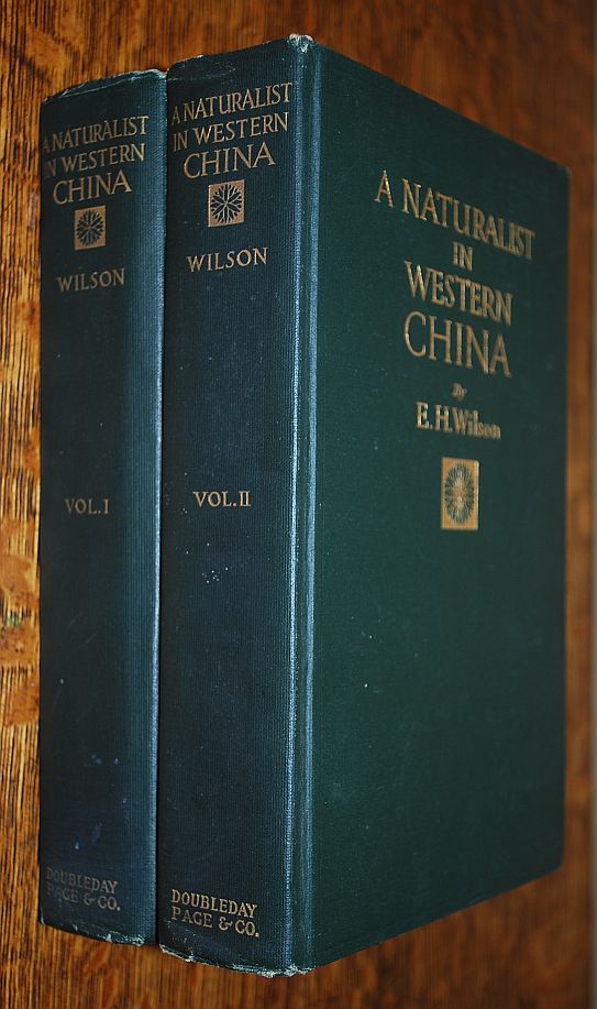 Image for A Naturalist in Western China: With Vasculum, Camera, and Gun