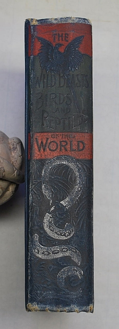 The Wild Beasts, Birds and Reptiles of the World: The Story of Their Capture
