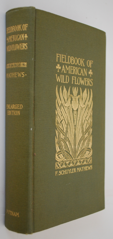 Image for Field Book of American Wild Flowers: A Short Description of Their Character and Habits, Concise Definition Of Their Colors, Incidental References to the Insects Which Assist In Their Fertilization